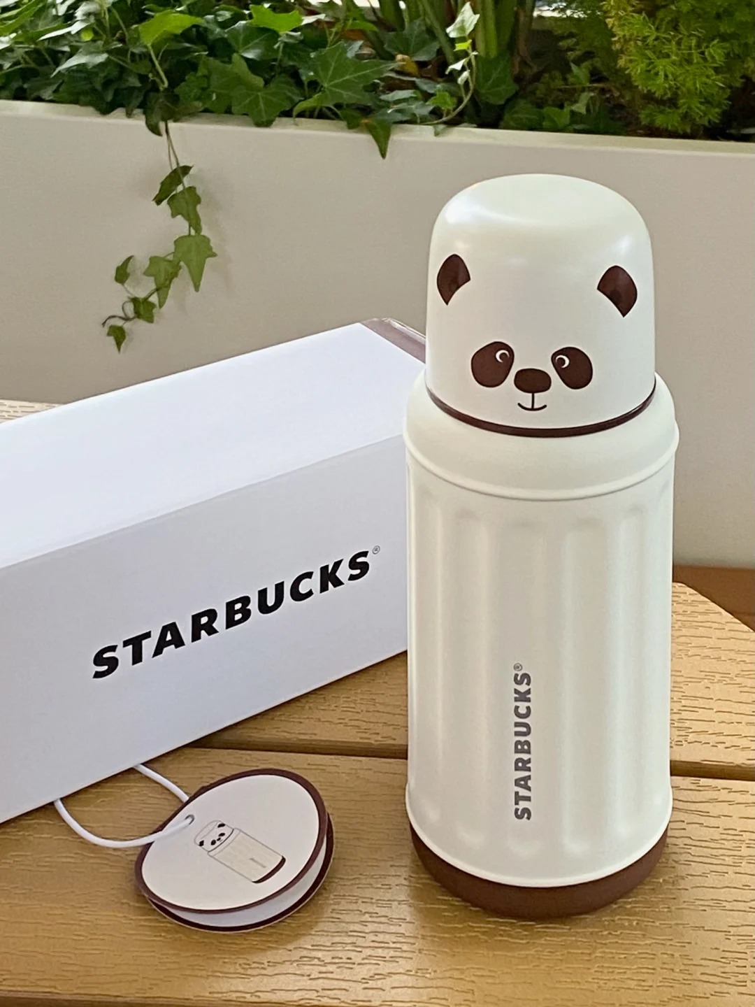 Starbucks 旅行熊猫系列