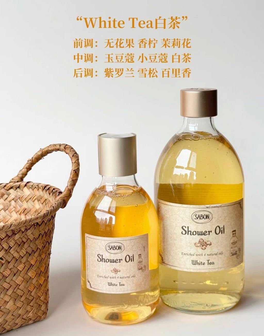 photo_15_2024-11-03_14-05-45