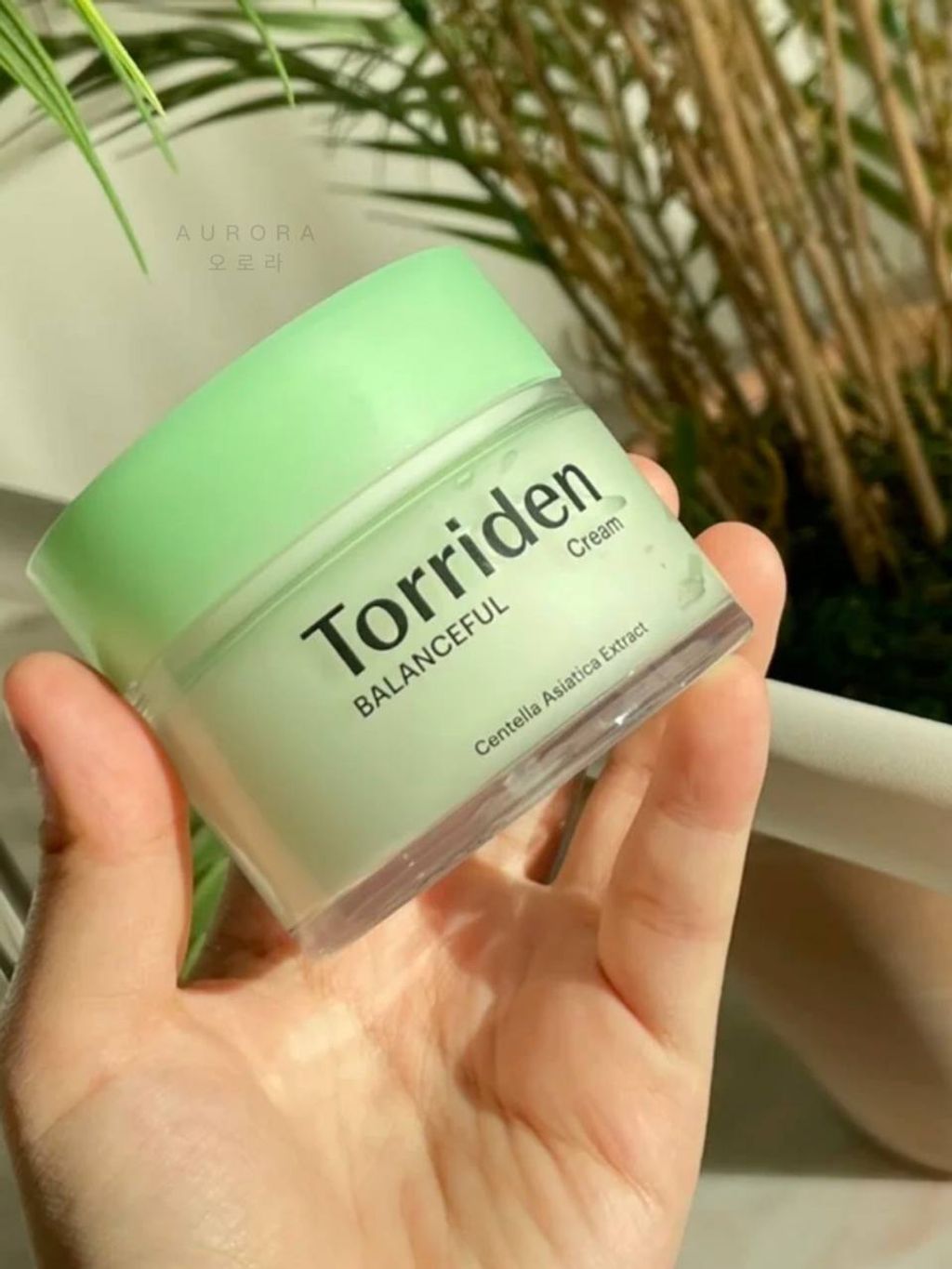 Torriden 积雪草面霜