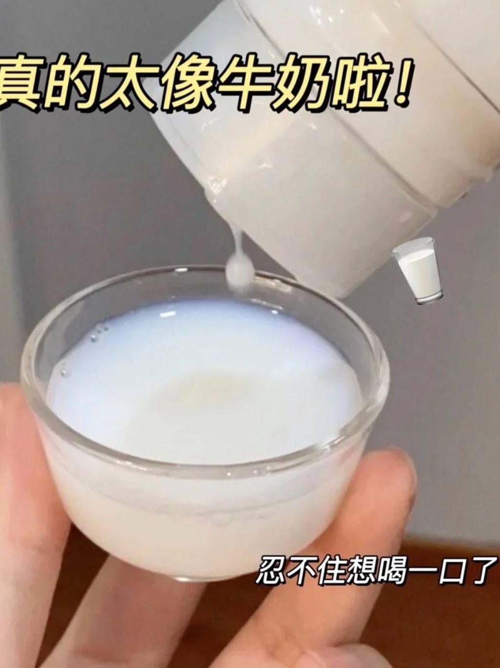 photo_2_2024-11-07_19-33-10