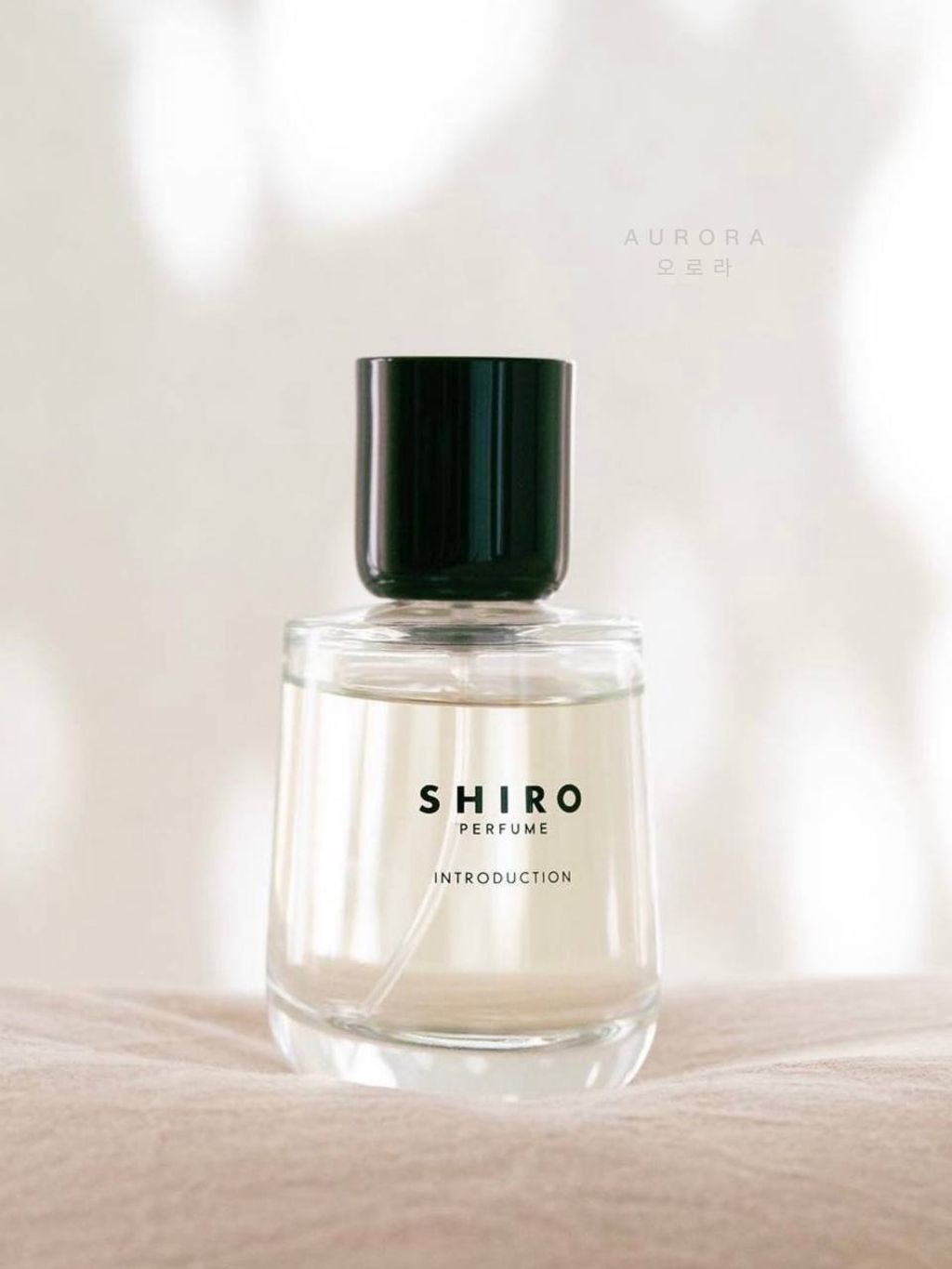 Shiro 高端香水系列