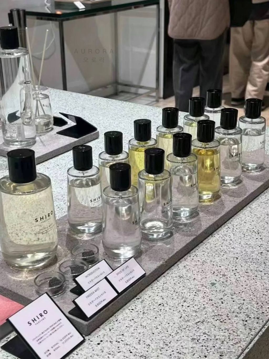 Shiro 高端香水系列