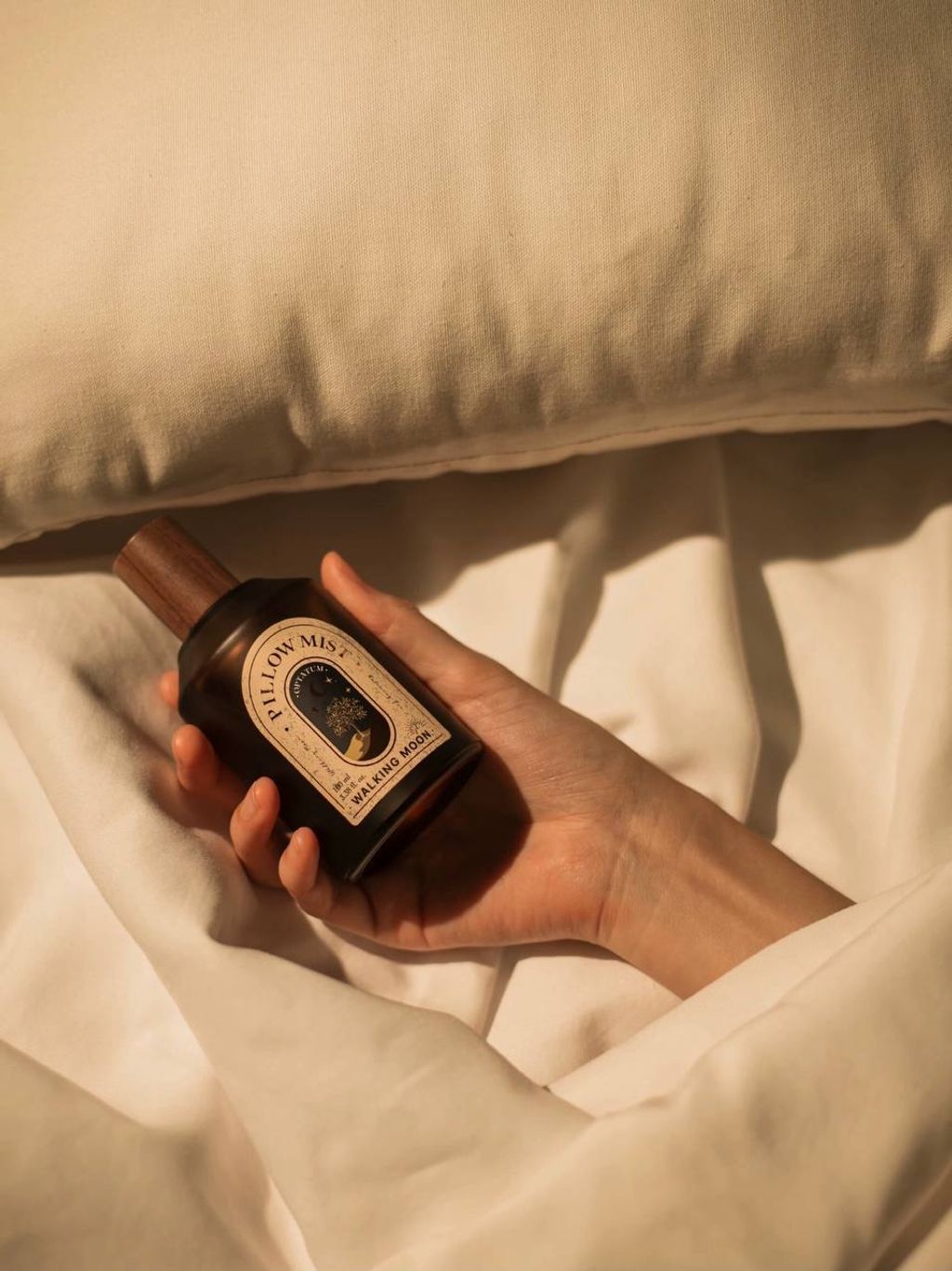 photo_15_2024-12-10_19-17-19