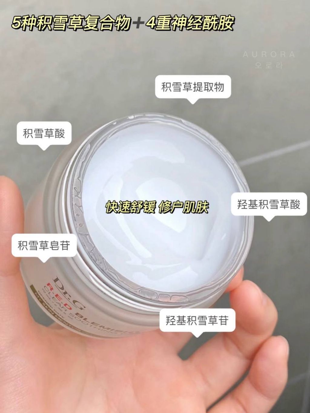 photo_5_2024-12-12_20-58-39