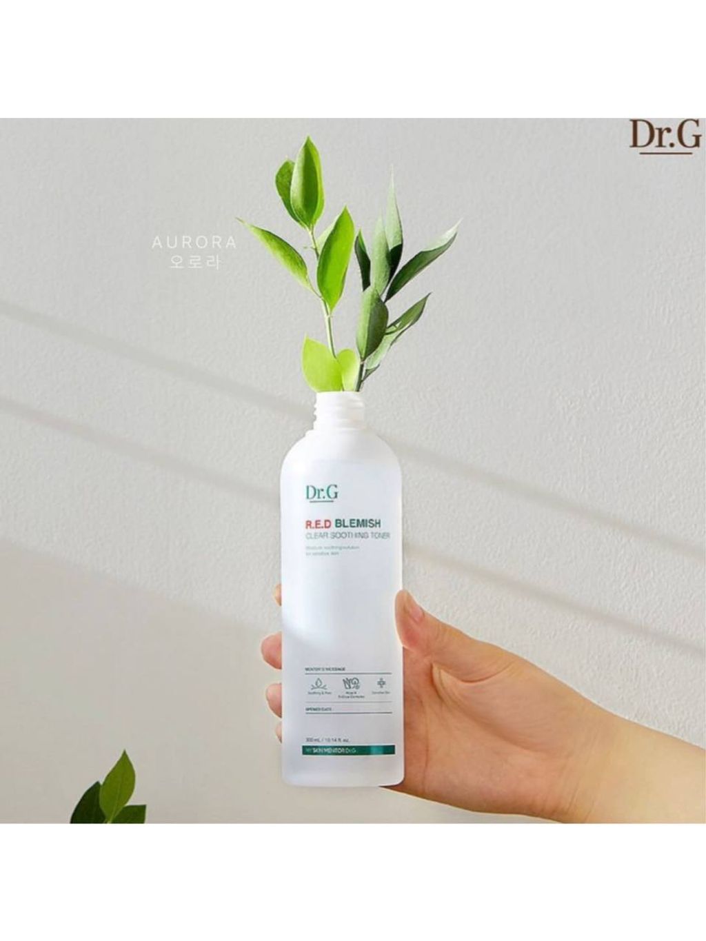 photo_7_2024-12-12_21-08-45