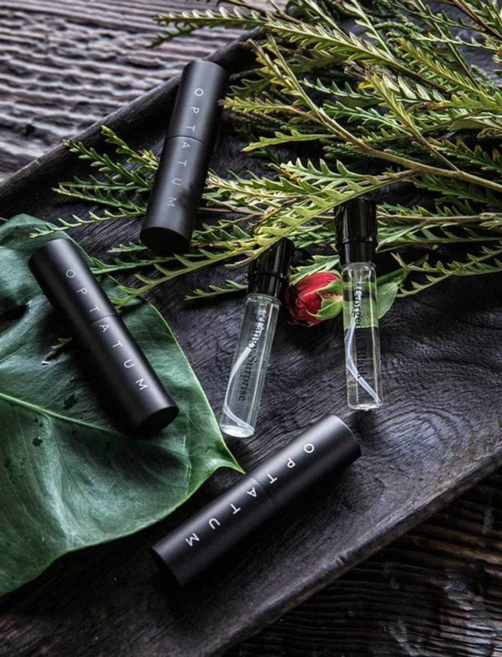 photo_4_2025-03-26_20-14-45