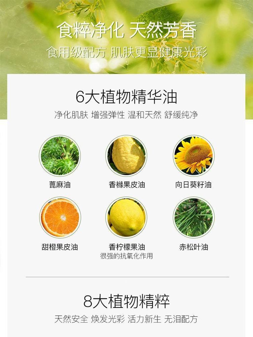 photo_7_2025-04-03_22-06-09