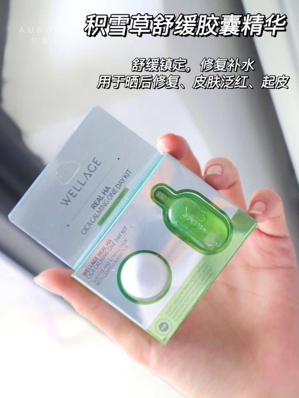 Wellage 魔法药丸