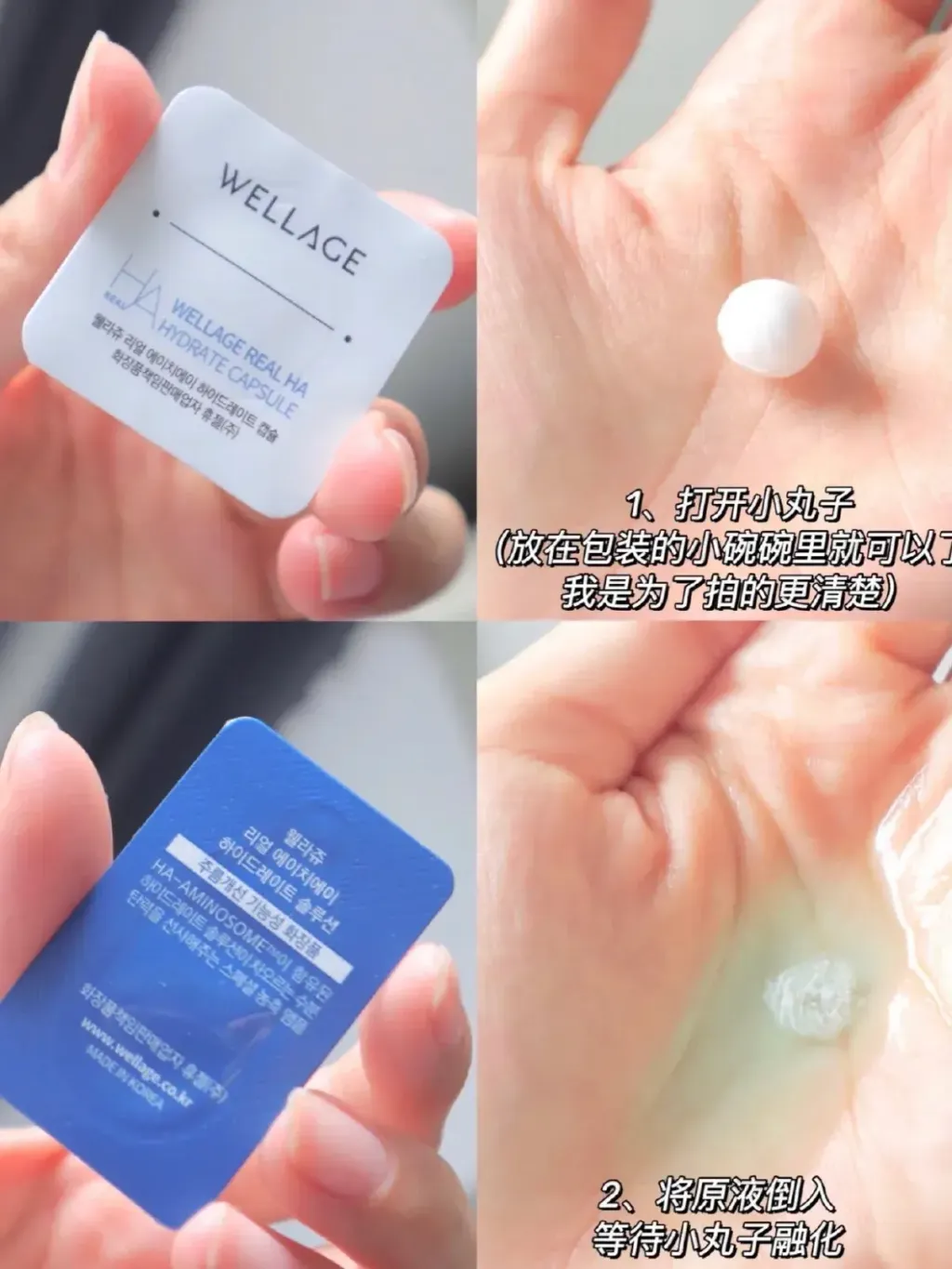 Wellage 魔法药丸