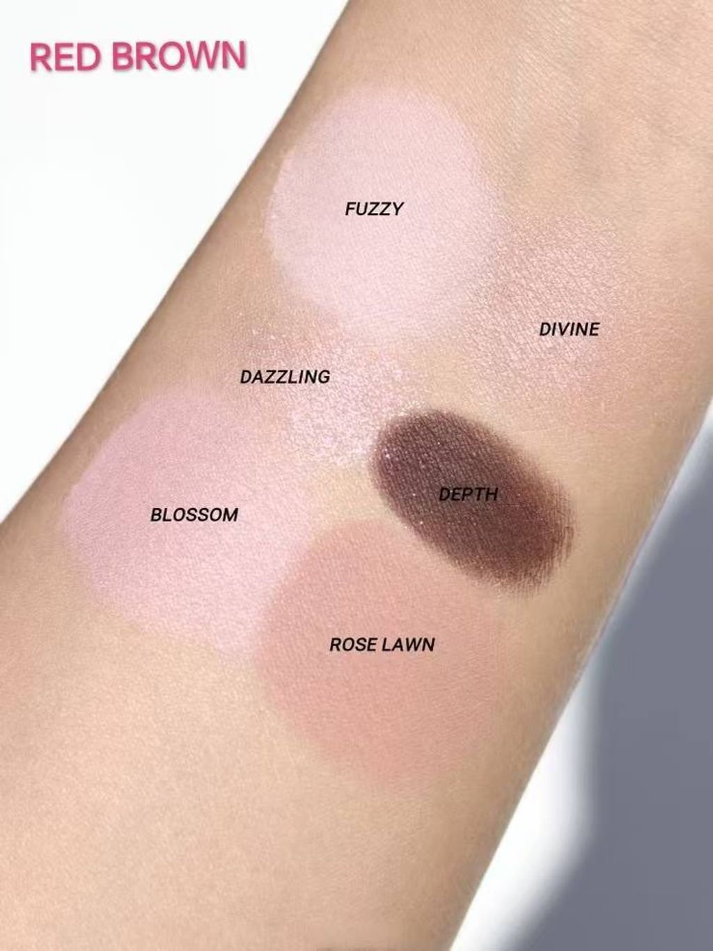 photo_4_2025-04-12_10-34-15