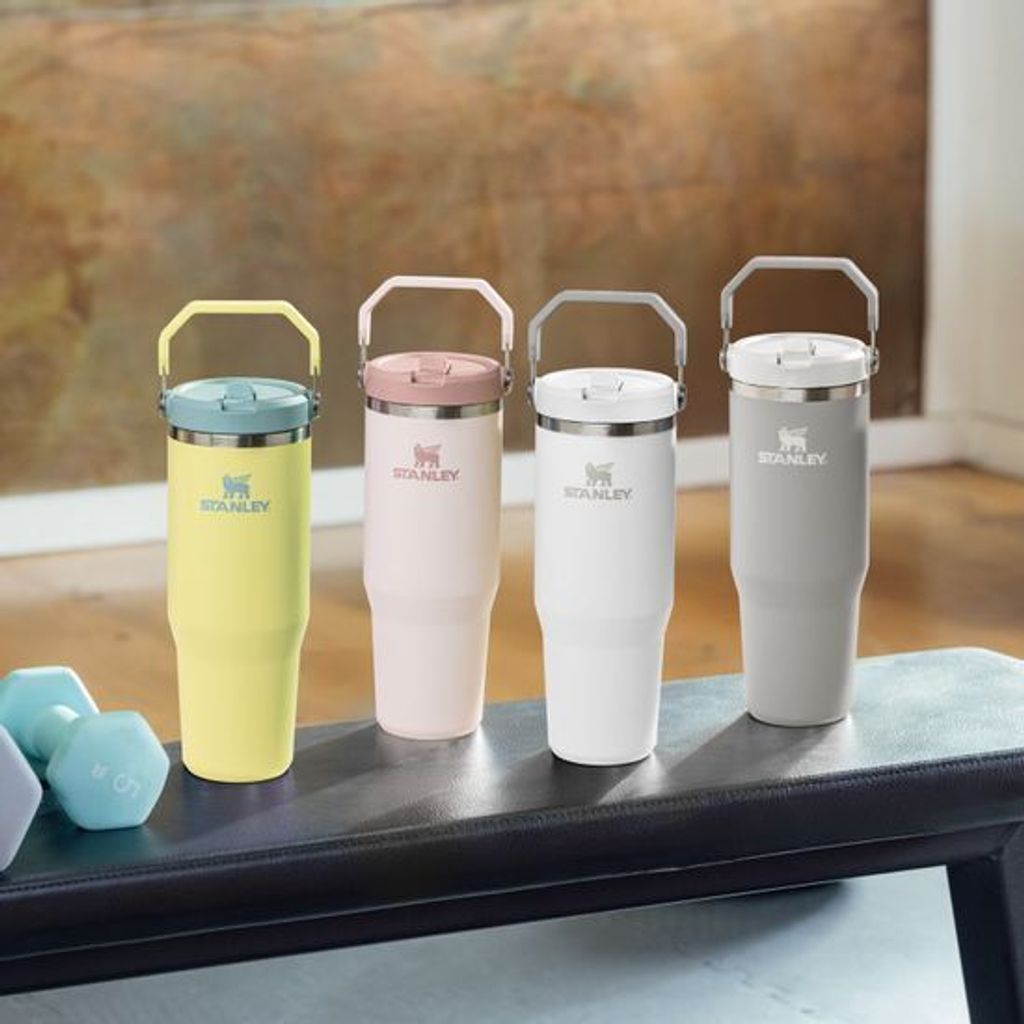 Stanley 02 | Iceflow Flipstraw 2.0