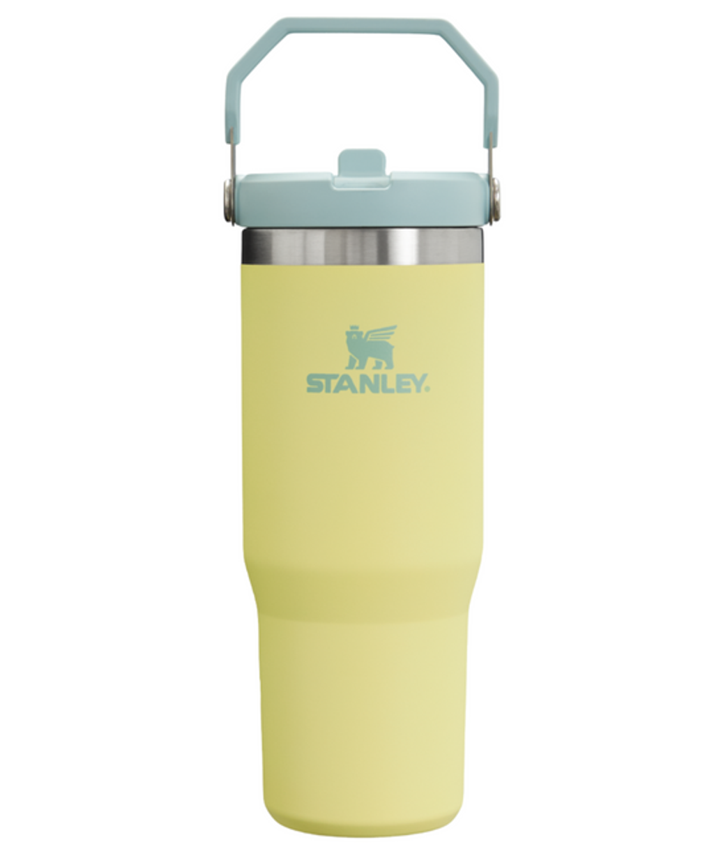B2B_Web_PNG-TheIceFlowTMFlipStrawTumbler30OZ-Pomelo-Front_540x