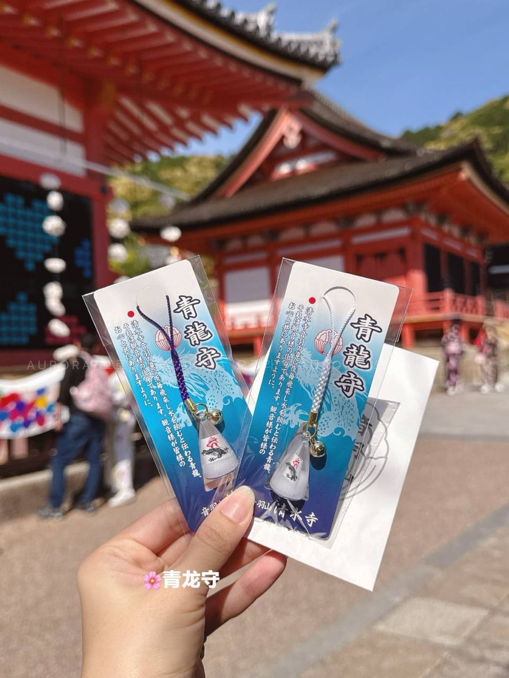 photo_2025-05-08_22-26-34