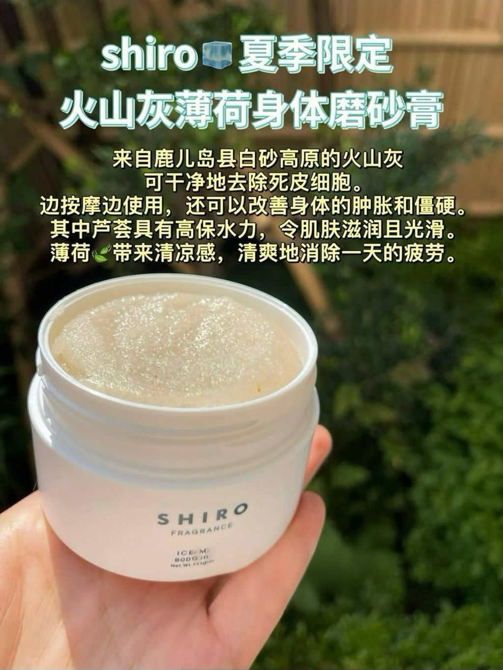 photo_5_2025-05-09_22-41-55