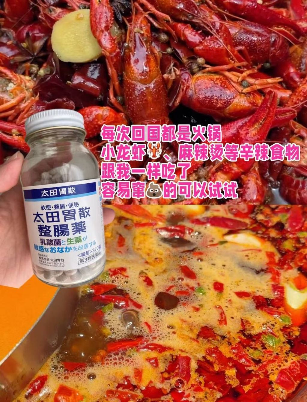 [日本] 太田胃散 整肠药