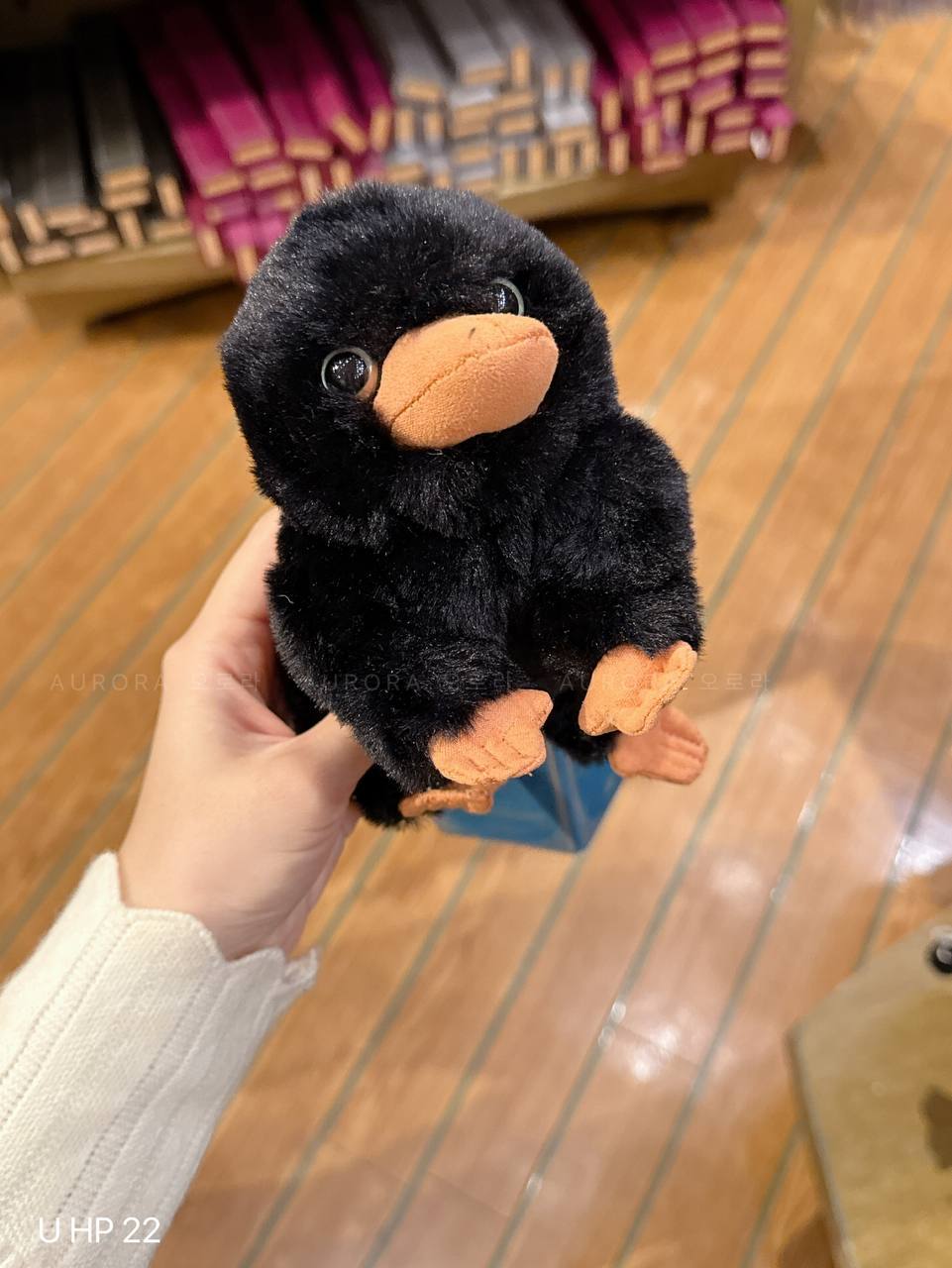 [日本] USJ HP 22 | Harry Potter 偷金兽小公仔