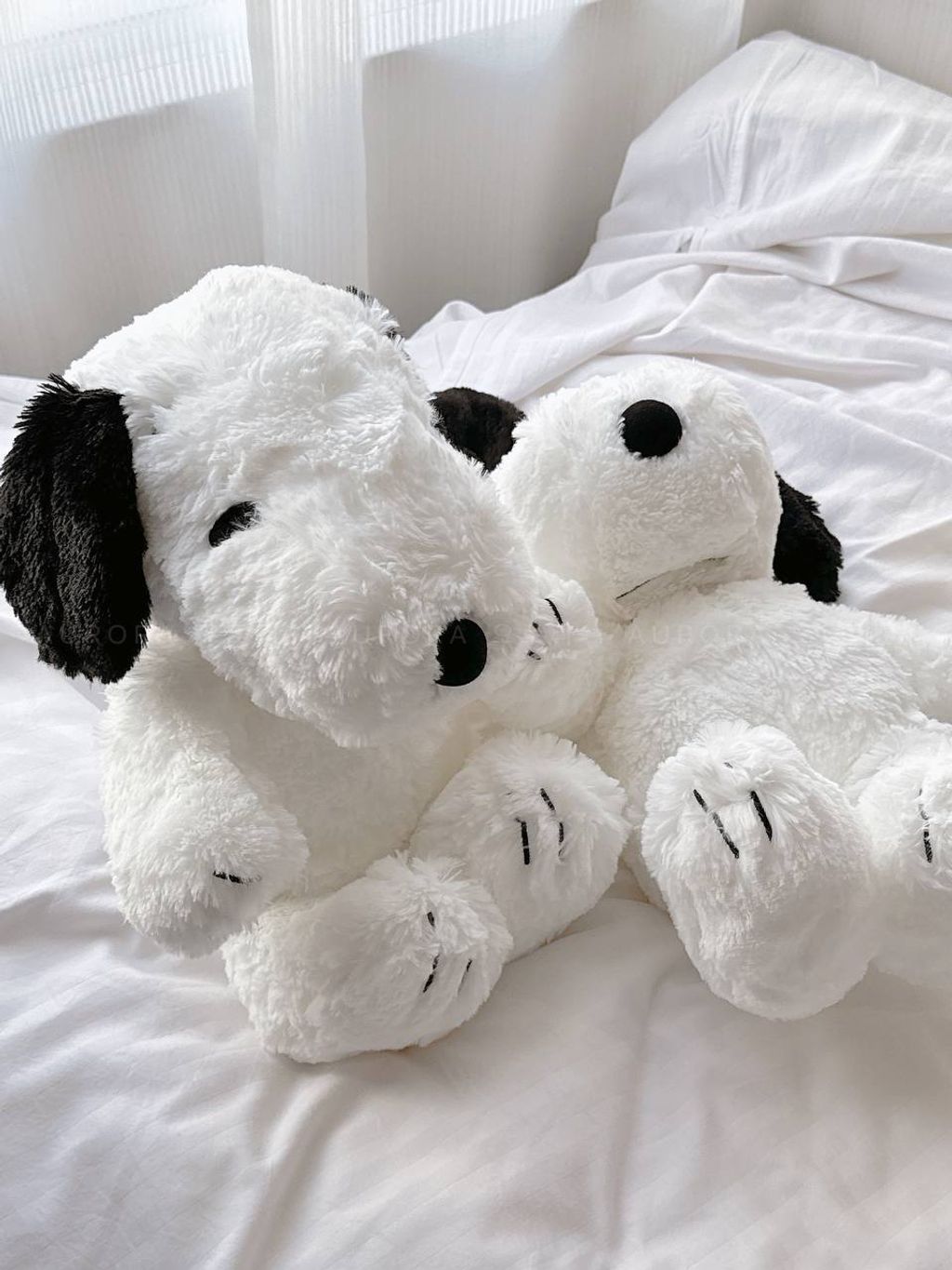 photo_2_2025-05-11_22-45-12