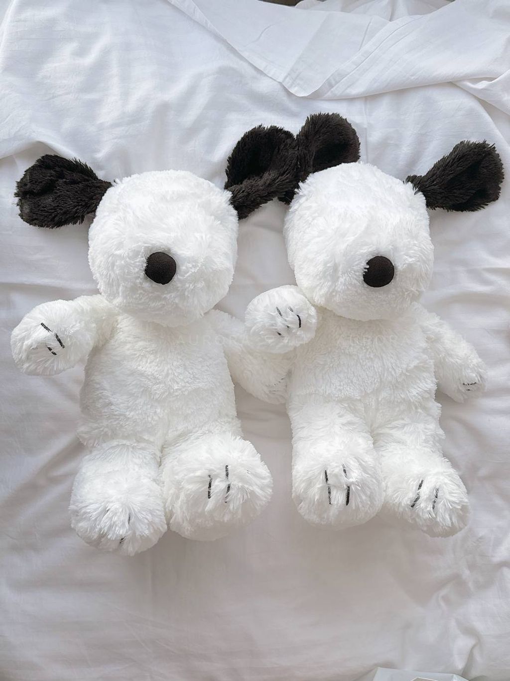 photo_1_2025-05-11_22-45-12