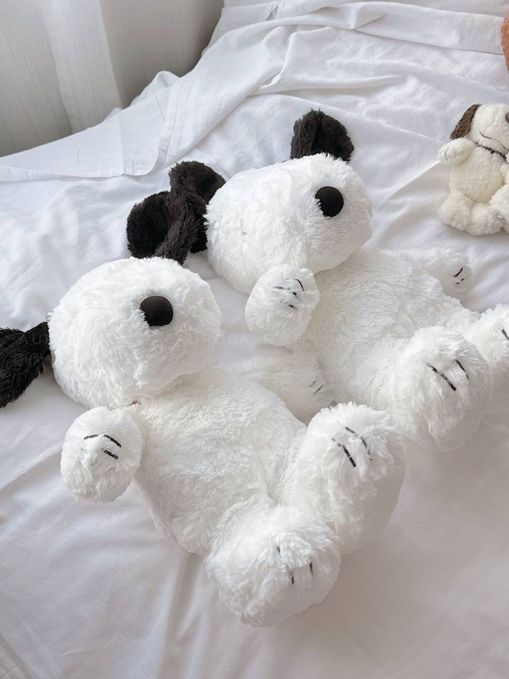 photo_4_2025-05-11_22-45-12