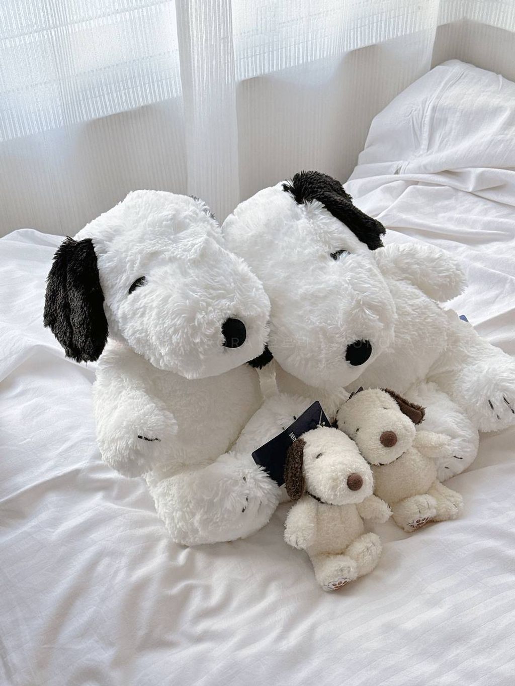 photo_5_2025-05-11_22-45-12