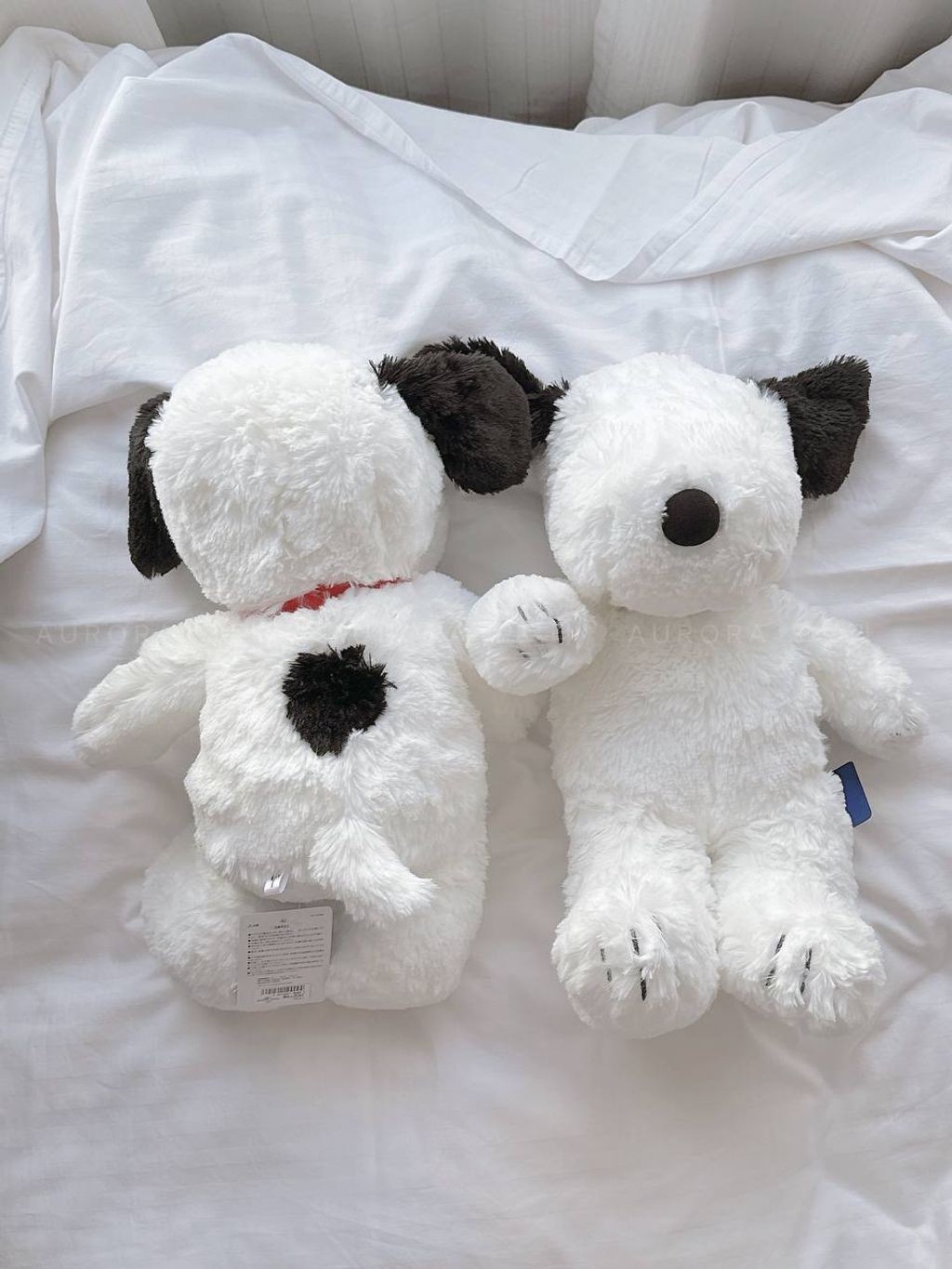 photo_3_2025-05-11_22-45-12