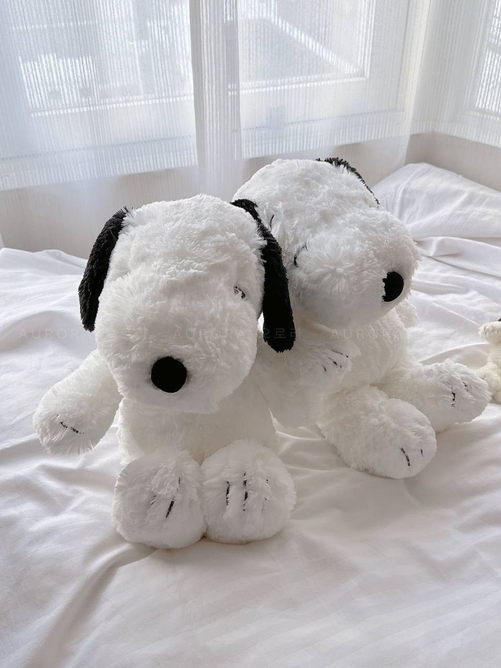 photo_6_2025-05-11_22-45-12