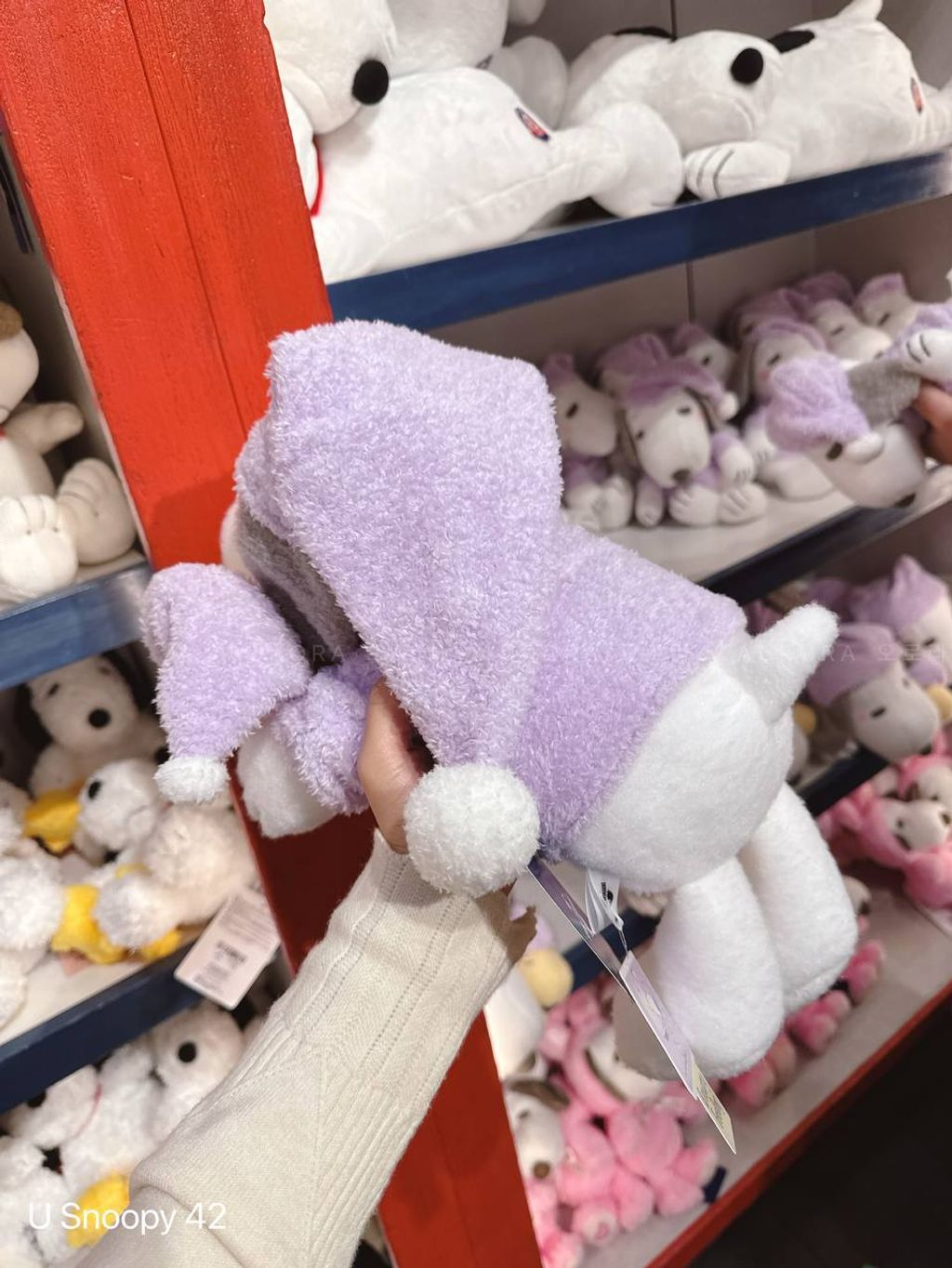 photo_2_2025-05-11_23-06-21