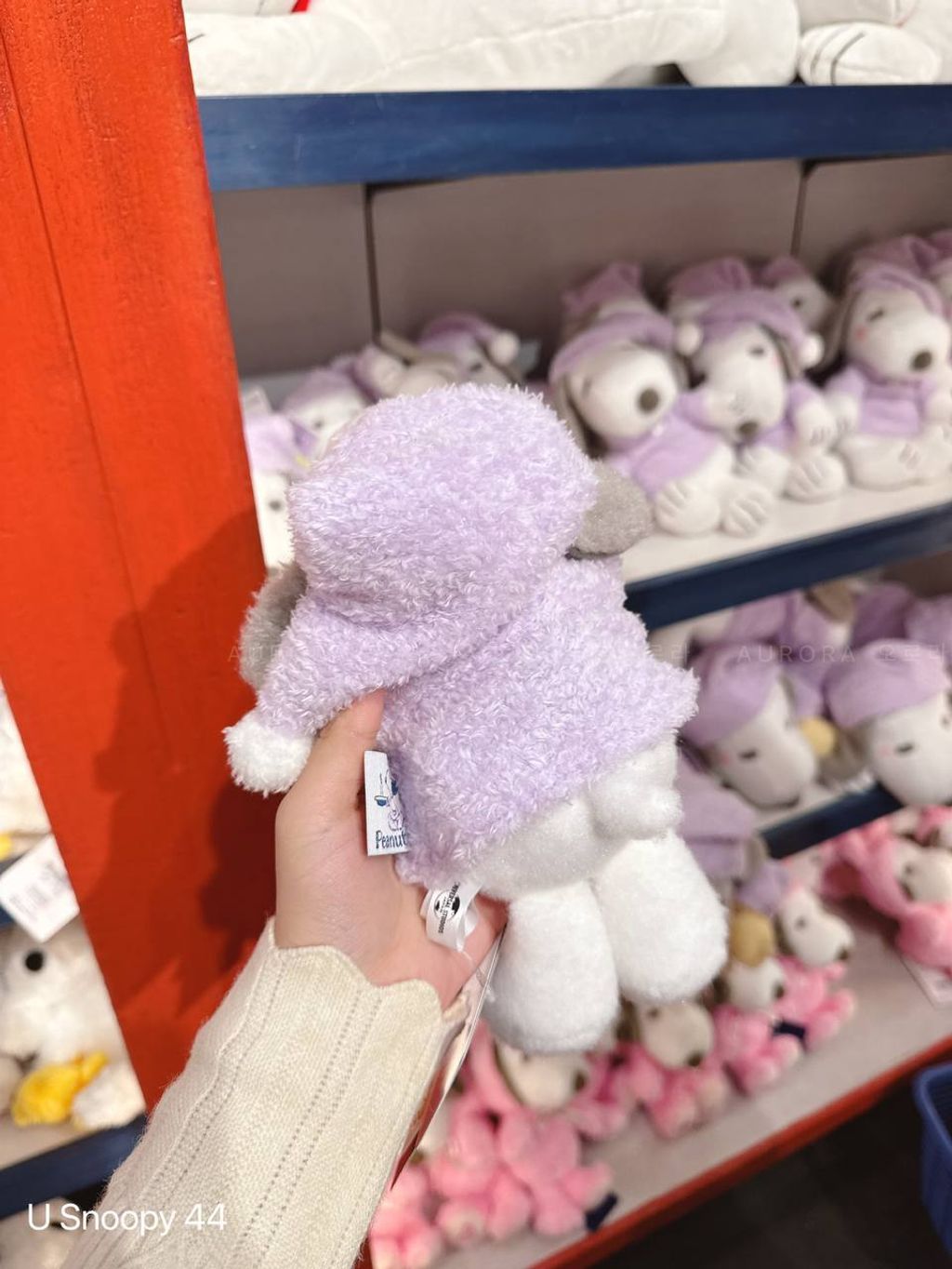 photo_1_2025-05-11_23-09-20