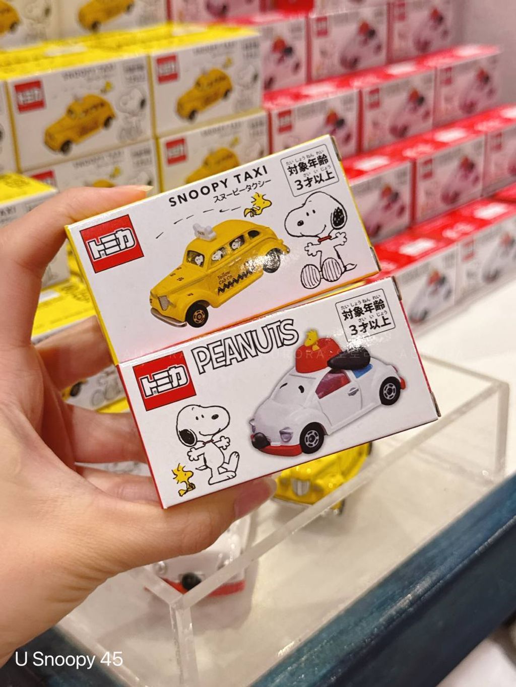 photo_2_2025-05-11_23-21-34