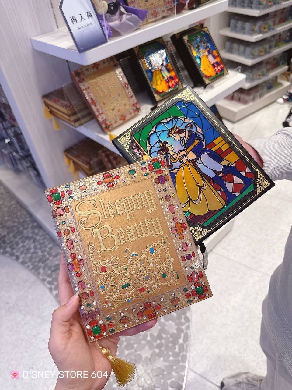 [日本] Disney Store 604 |公主笔记本系列