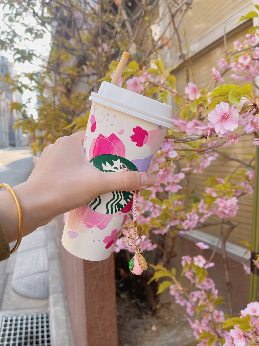 photo_1_2025-05-18_19-25-03