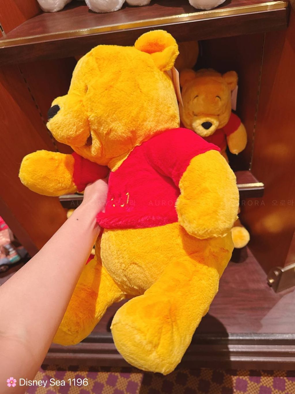 photo_1_2025-05-19_22-32-33