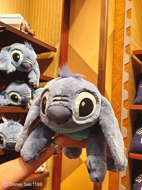 photo_1_2025-05-19_22-34-37