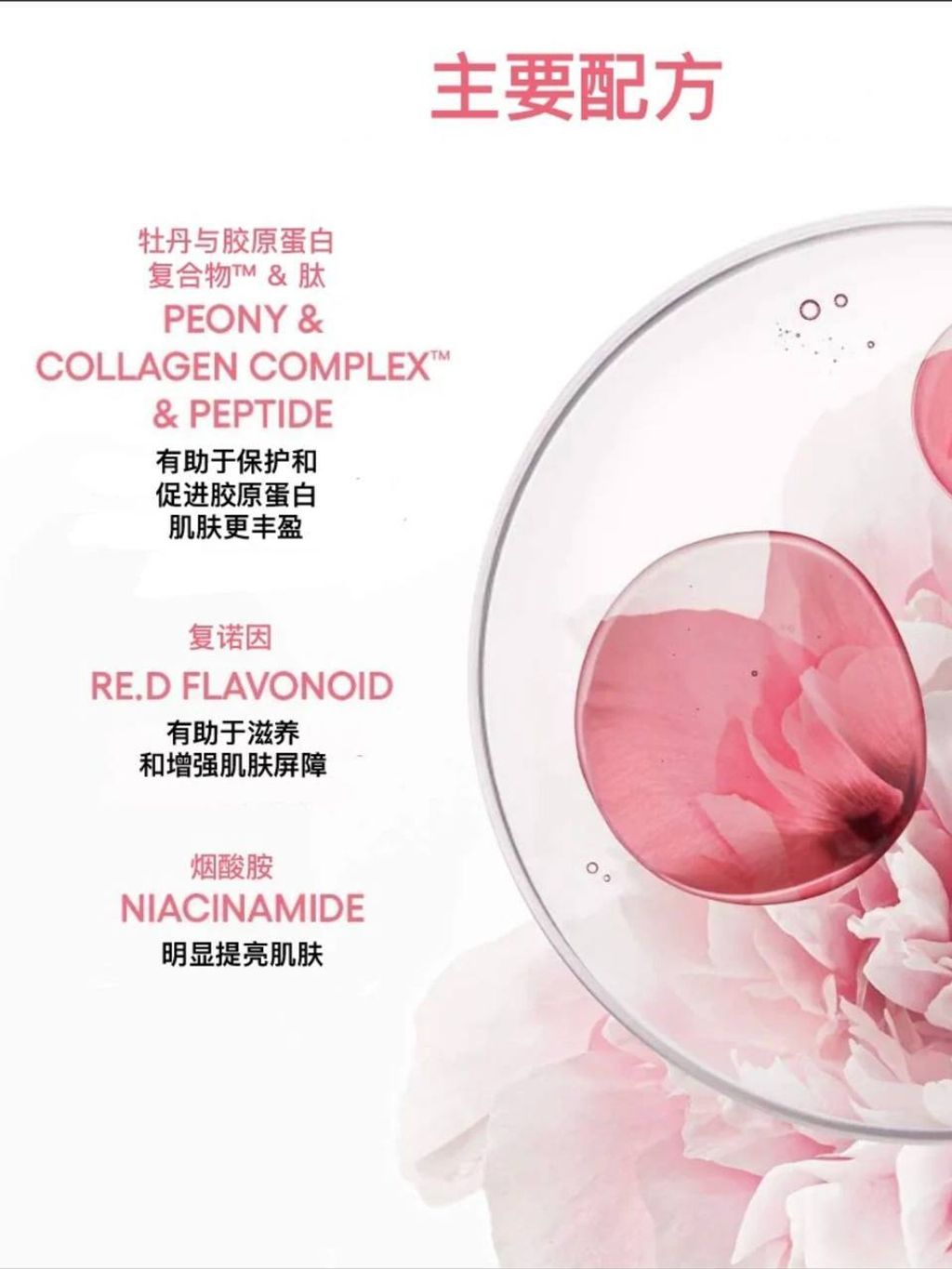 photo_10_2025-08-01_23-12-32