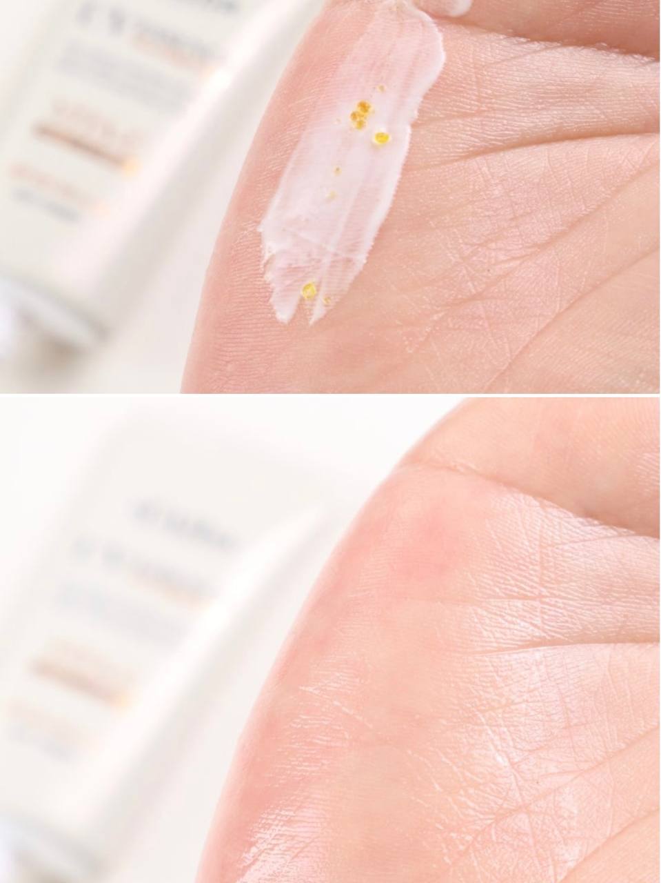 photo_3_2025-08-05_21-25-18