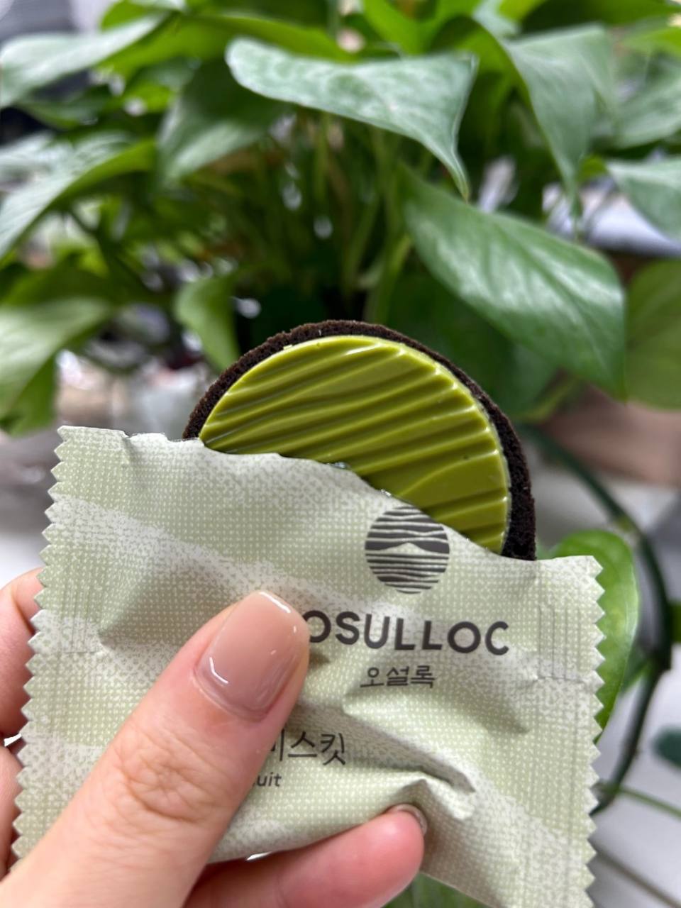 photo_6_2025-08-12_14-37-29