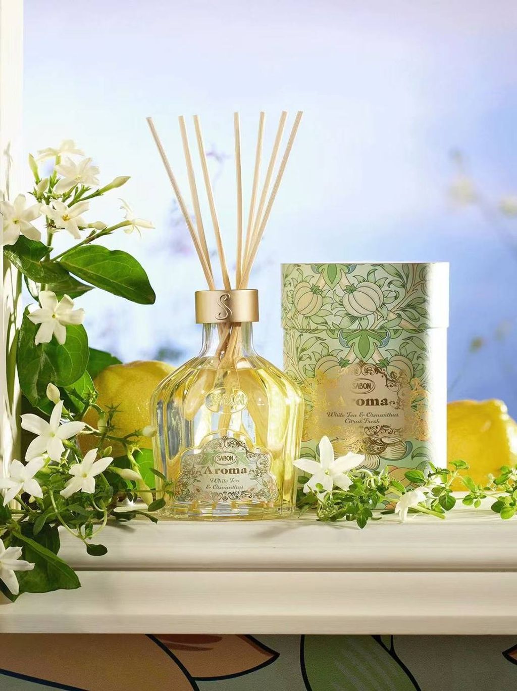 photo_6_2025-09-14_11-59-20