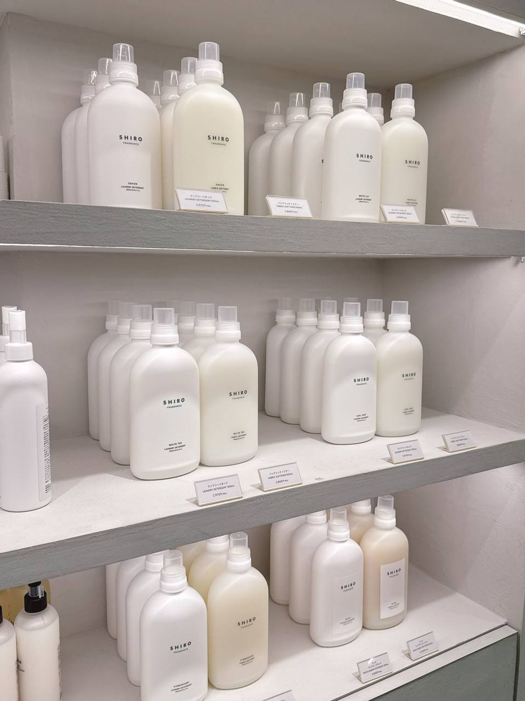 photo_3_2025-09-17_21-23-00