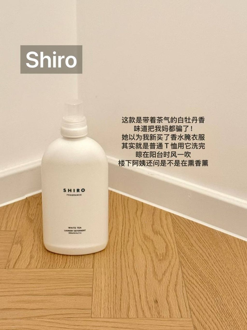 photo_9_2025-09-17_21-23-00