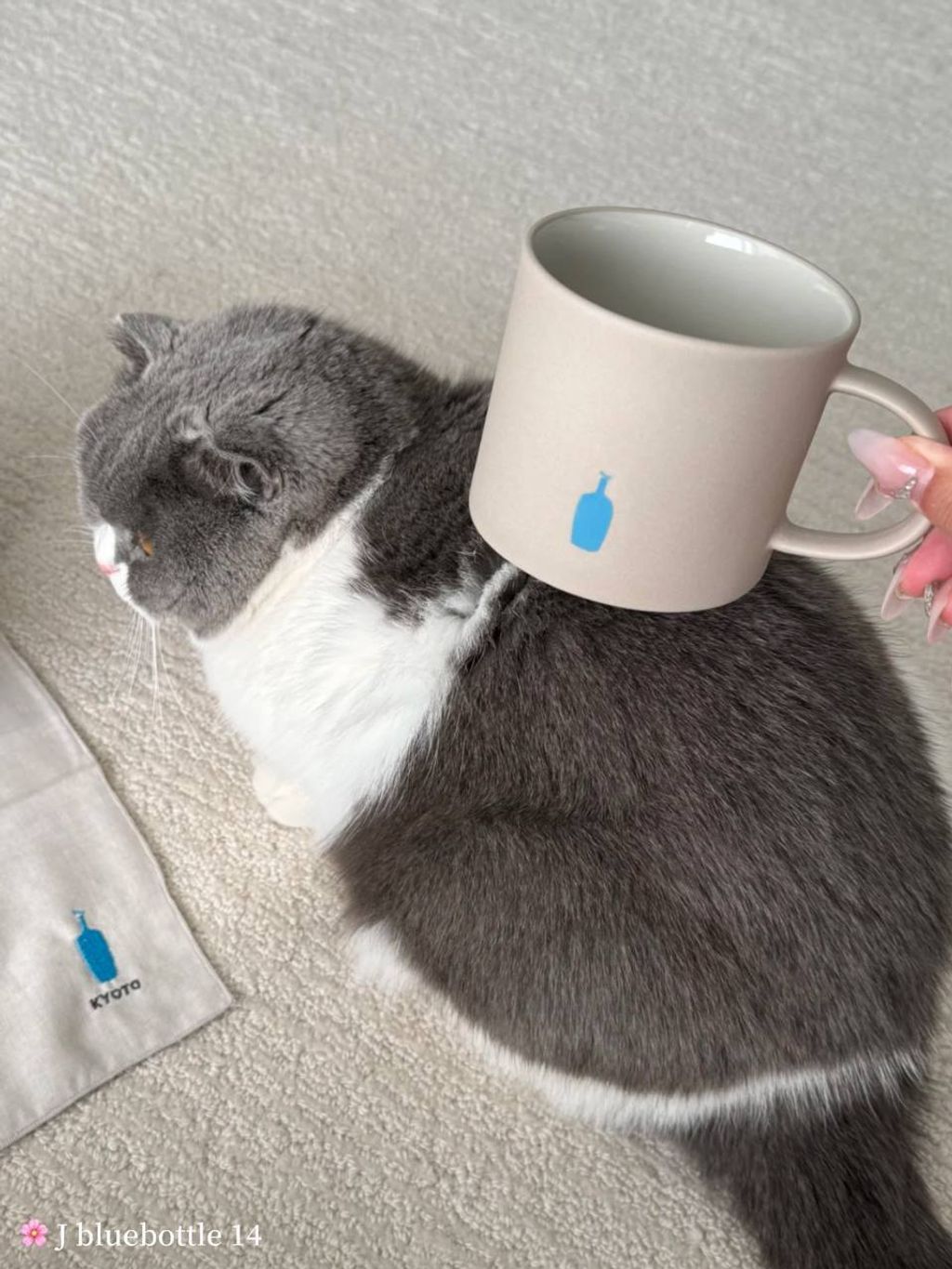 photo_11_2025-09-21_14-59-27