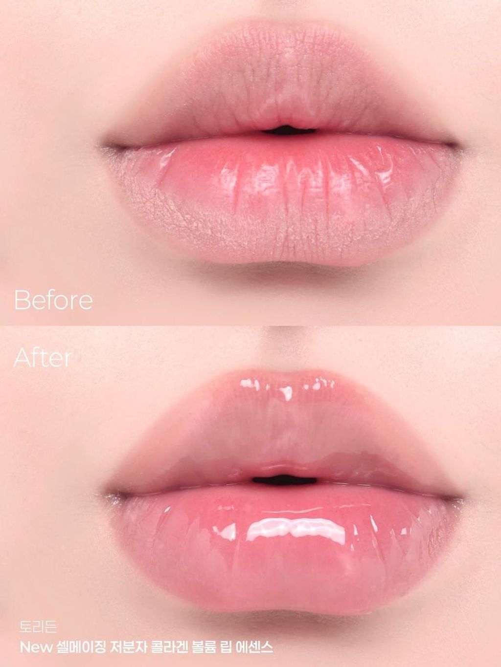 IMG_20251023_003123_632