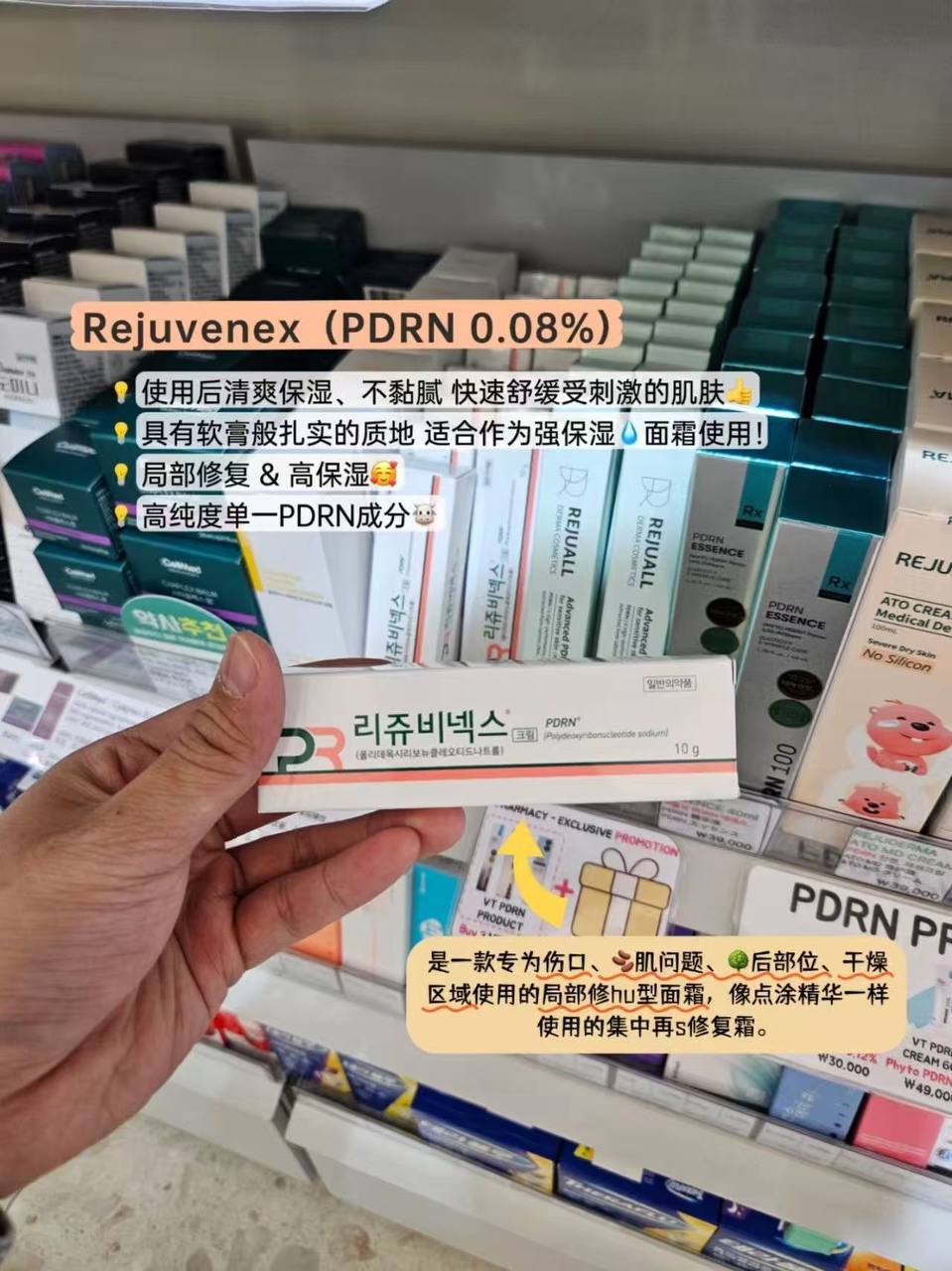 photo_4_2025-11-02_12-37-32