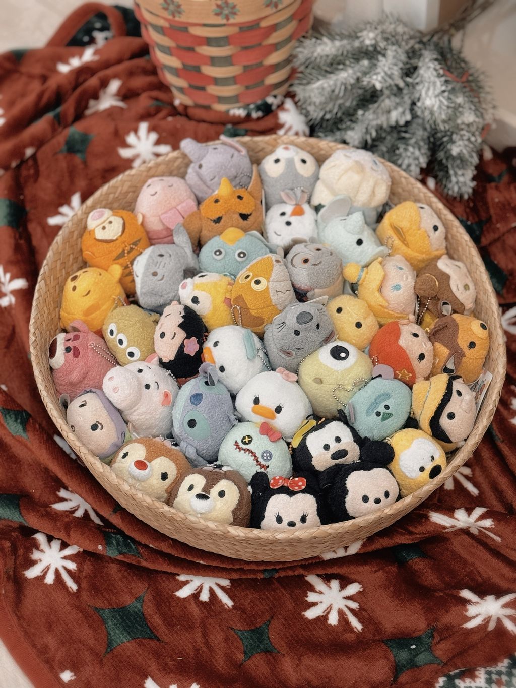 image_9D154C1A-8F60-478B-8E0F-CBE7188DDE97_1764986578