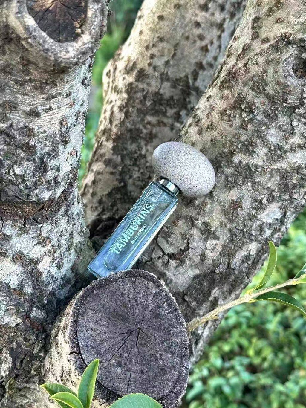 photo_8_2025-12-10_20-16-42