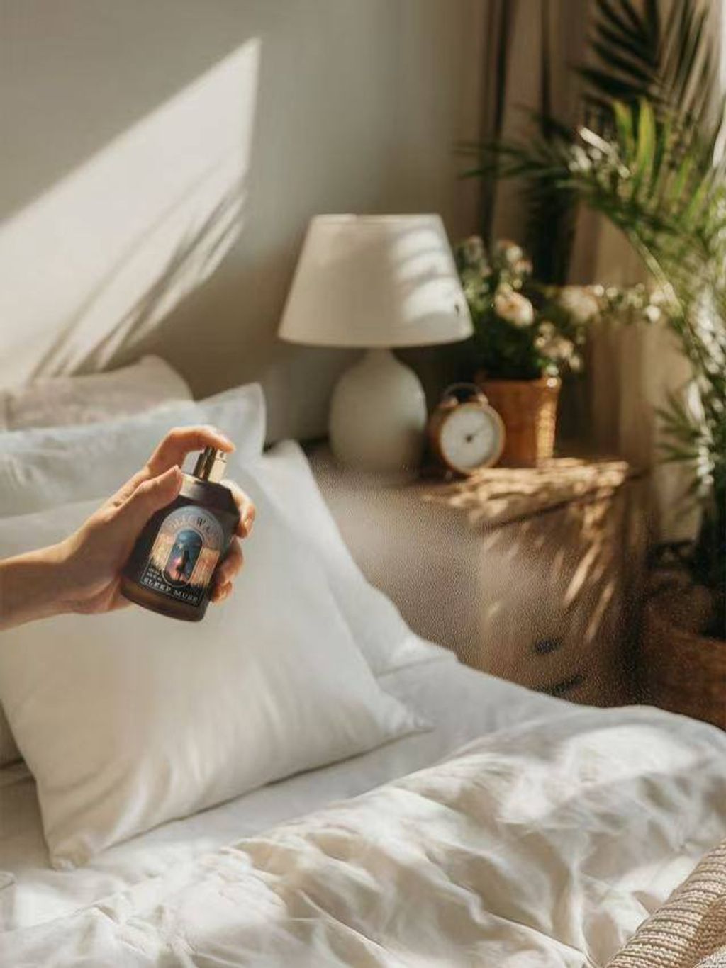 photo_5_2025-12-24_10-23-54