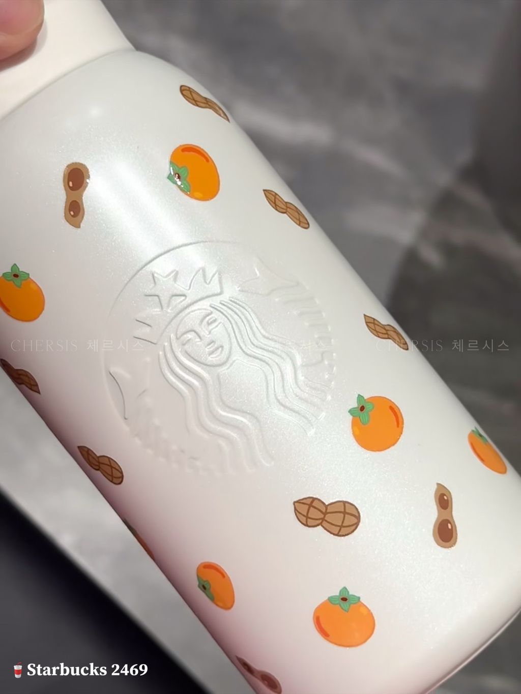 image_479E253C-B681-4263-B905-6B60EAC3B7B0_1768118732