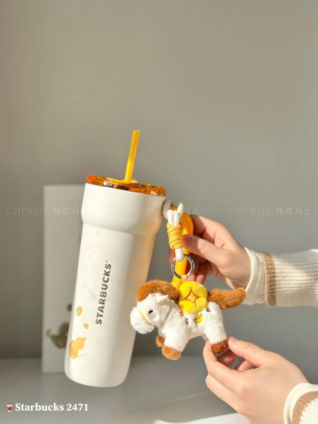 image_6A1E0588-847D-49F1-985B-B50F19008B4F_1768119844