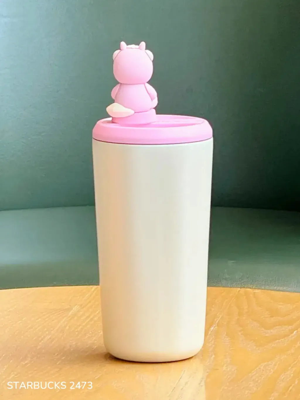 image_D4952E8E-76CD-4151-B504-532995BE7C83_1768129176