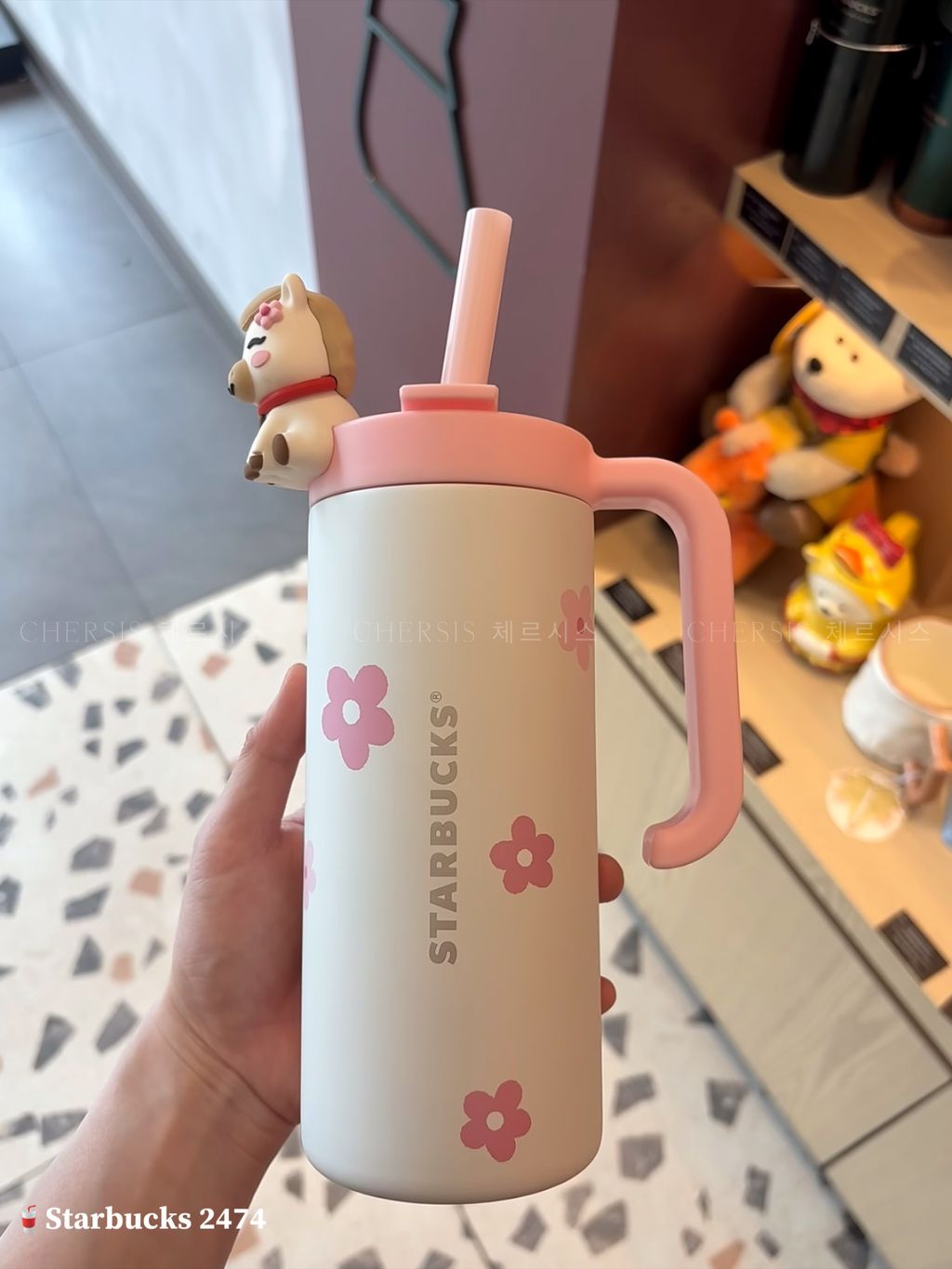 image_A87FF62F-18F4-4DCF-AE0F-ED9126AAEAAB_1768191208