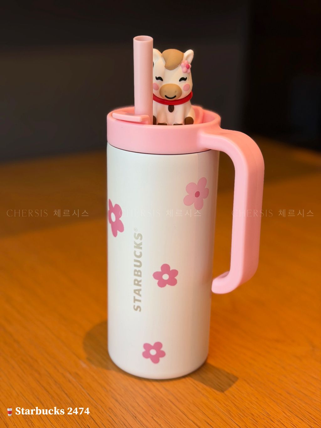 image_6F084996-F50E-4497-A864-65A433271565_1768191208